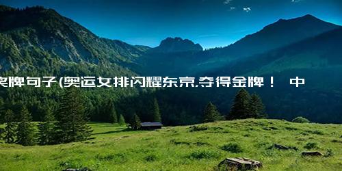 得奖牌句子(奥运女排闪耀东京，夺得金牌！ 中国女排在东京奥运会上夺得金牌)